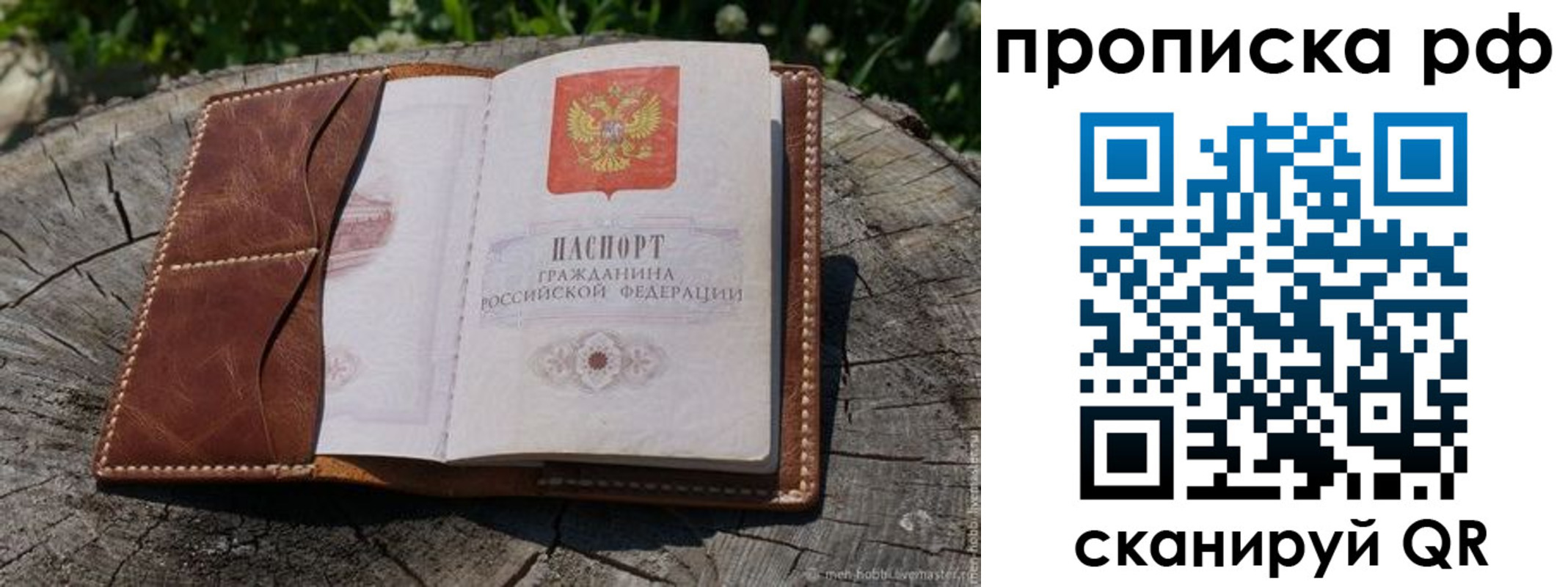 временная регистрация гарантия в Камчатской области